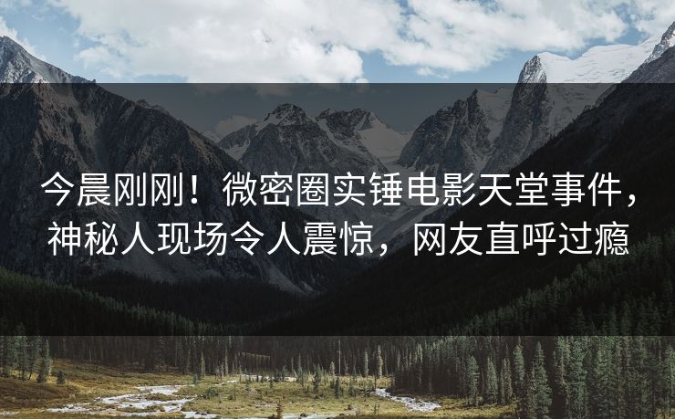 今晨刚刚！微密圈实锤电影天堂事件，神秘人现场令人震惊，网友直呼过瘾