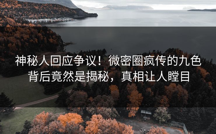 神秘人回应争议！微密圈疯传的九色背后竟然是揭秘，真相让人瞠目